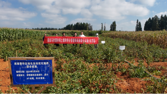 “NE系统+”智能化施肥技术助力薯农喜迎“薯”光.png
