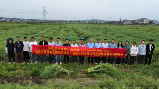 国家重点研发计划“稻稻油轮作体系障碍消减与产能提升综合模式与应用”课题现场观摩会在衡阳县台九村召开.png