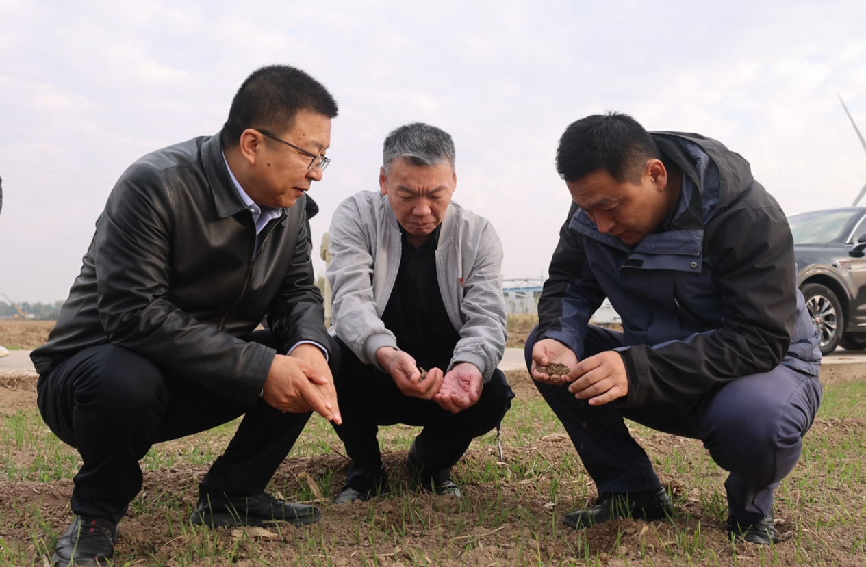 图2 德州实验站站长袁亮到郝王庄镇李古寺村田间指导.png