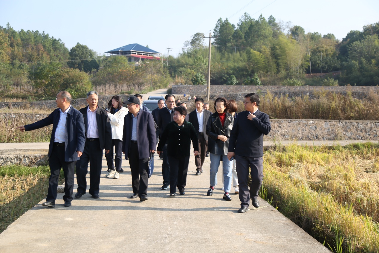 农业农村部发展规划司副司长罗东一行调研祁阳站2.png