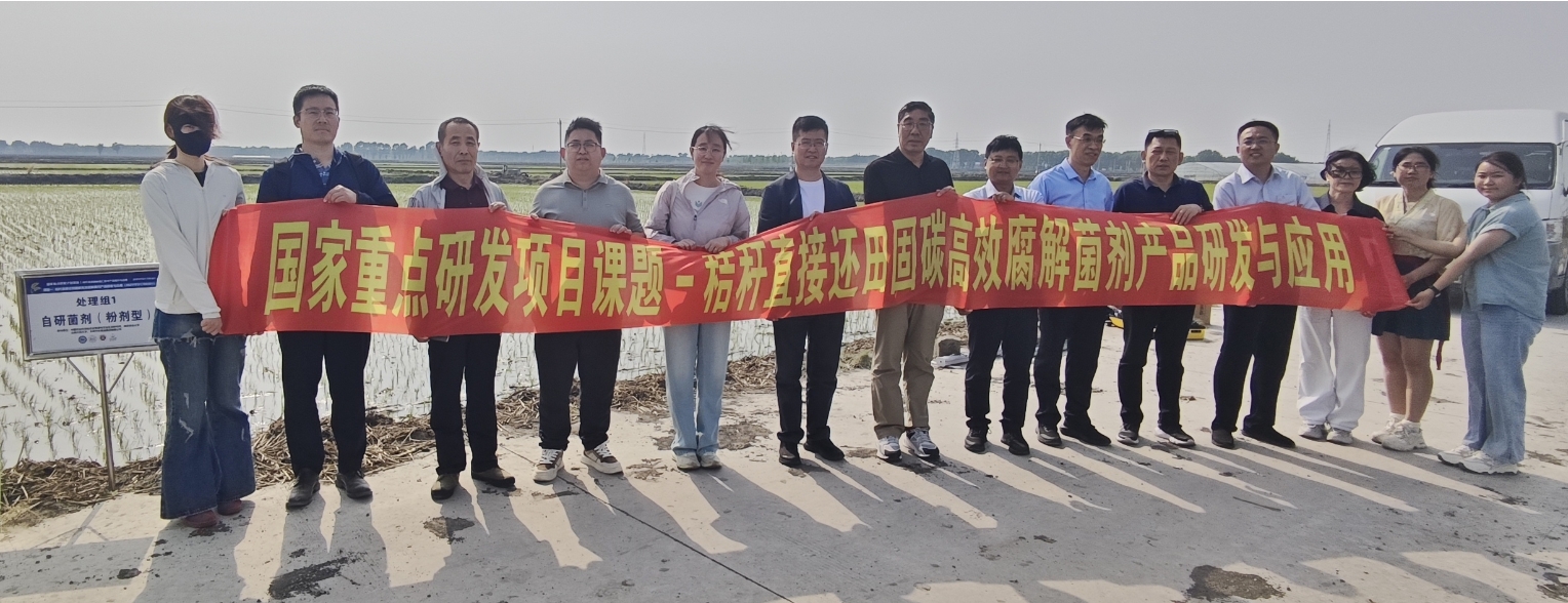 秸秆直接还田固碳高效腐解菌剂产品研发与应用现场会2.jpeg