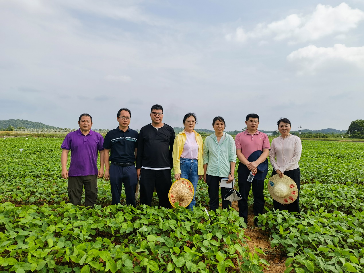 中国农业科学院大豆专家团赴长江流域开展春大豆生产调研指导.png