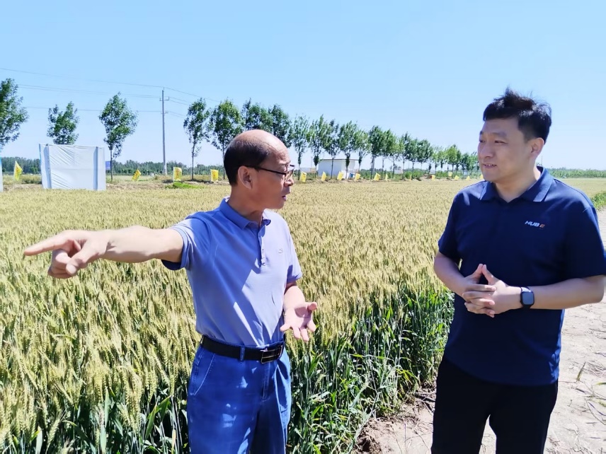 农业农村部科技小分队山东组下沉一线护航小麦生产3.png