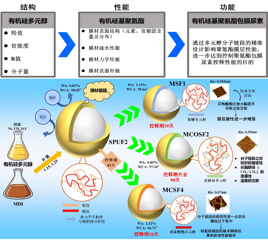 有机硅基聚氨酯包膜控释肥料研发示意图.png