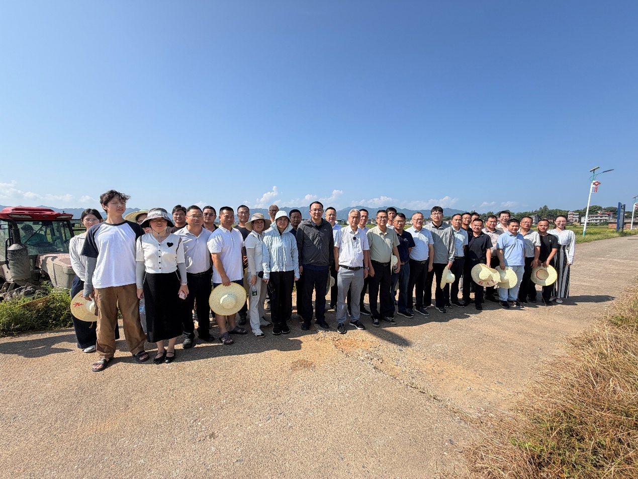 双季稻区秸秆切埋还田技术现场观摩会1.jpeg