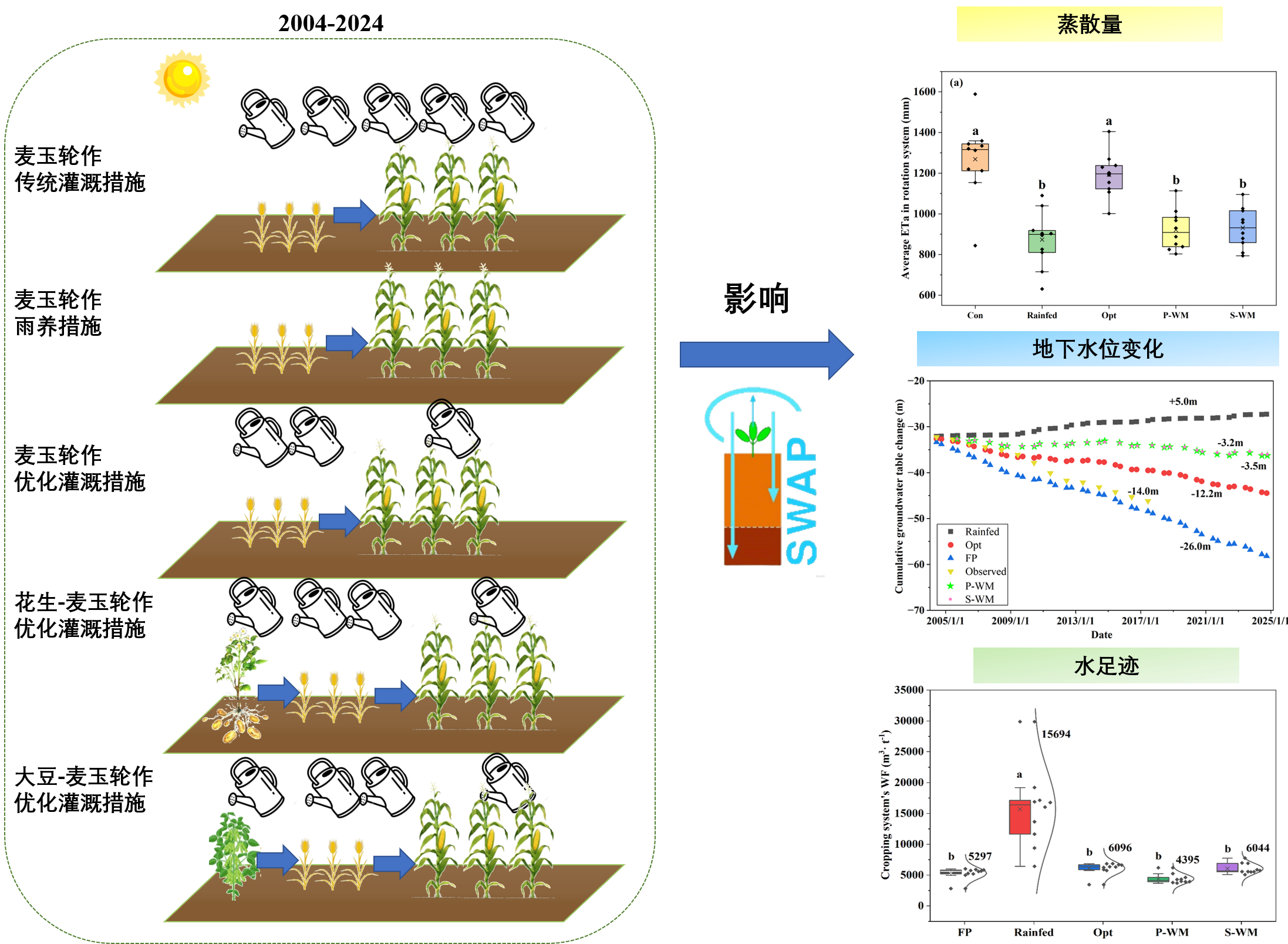 多样化轮作与灌溉优化协同的华北平原节水增效新策略.png